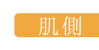 ハラマキパンツの肌側